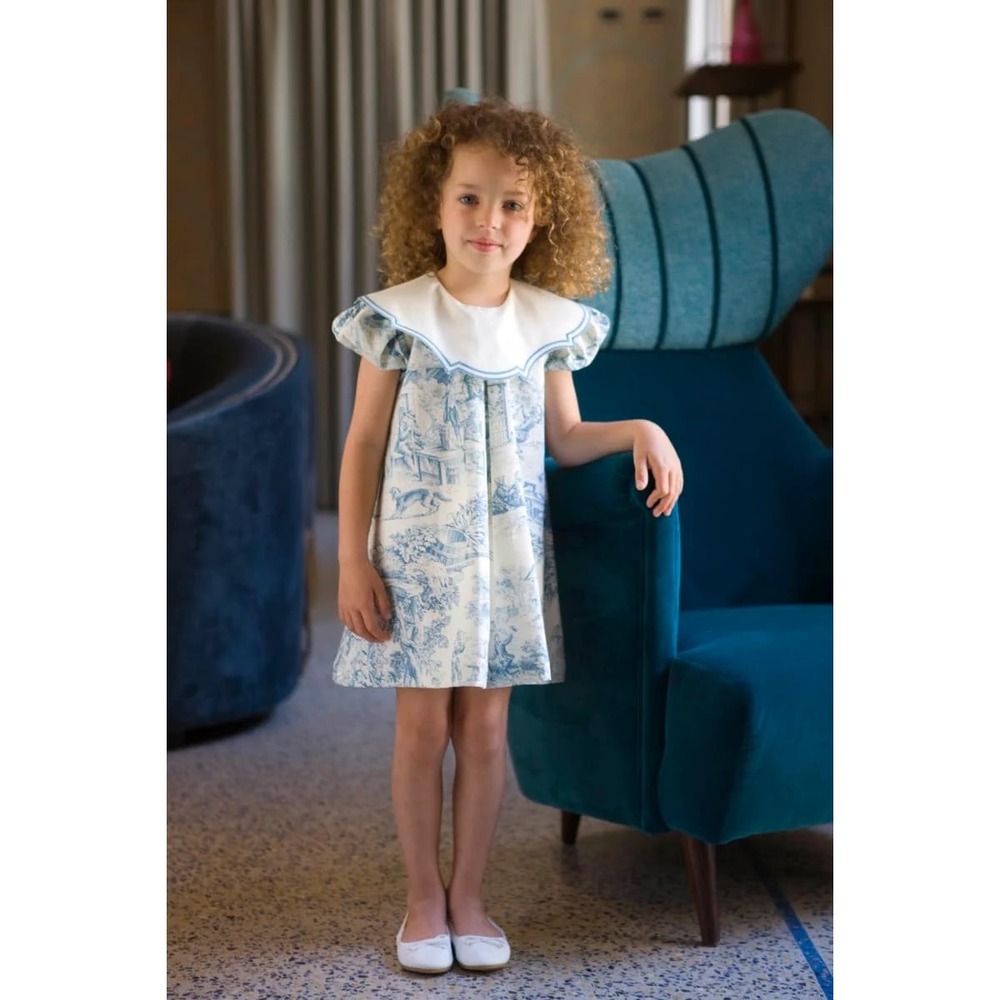 Jesurum Italy NWT Federica Dress Light Blue Toile De Jouy Cotton Linen Collar